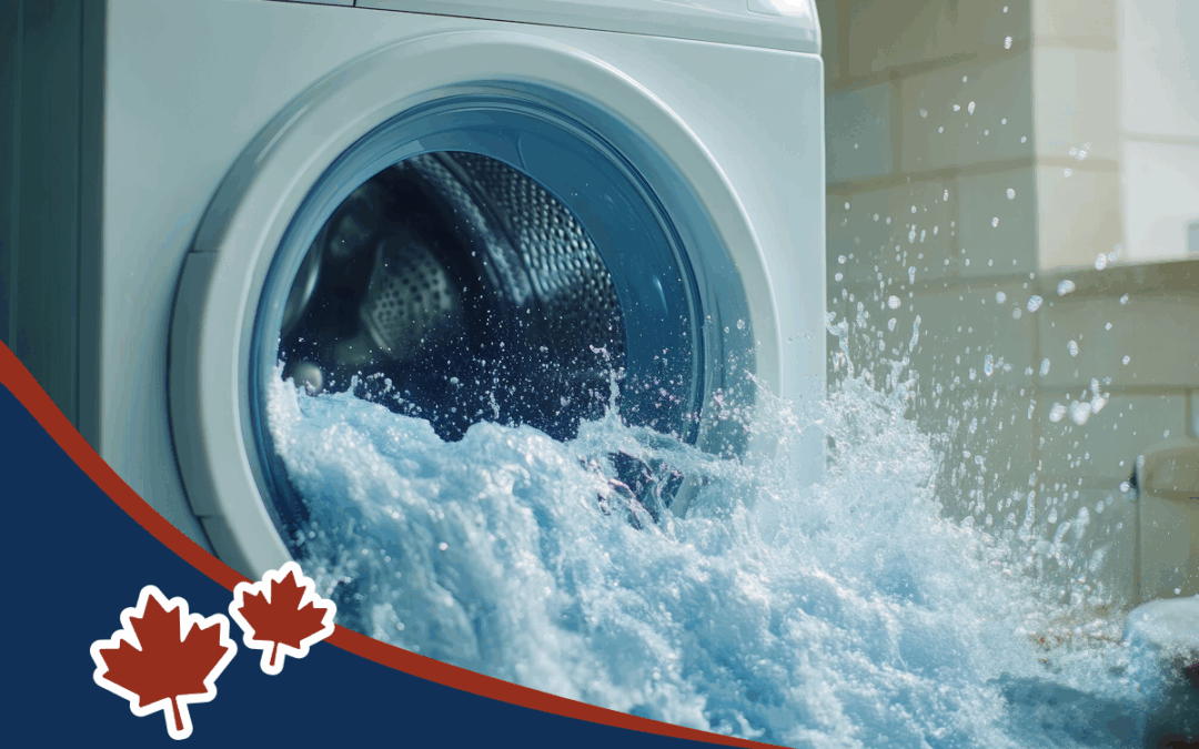 What to Do in a Plumbing Emergency Before the Pros Arrive